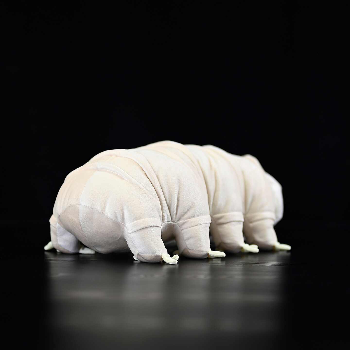 Cute Dinosaur Doll With Plush Toys